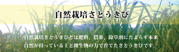 【自然栽培さとうきび】